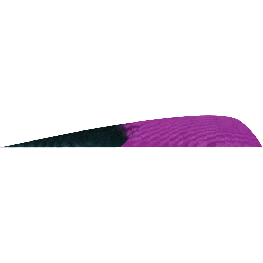 Gateway 400RPKPP-50 Parabolic Feathers Kuru Purple 4in RW 50pk