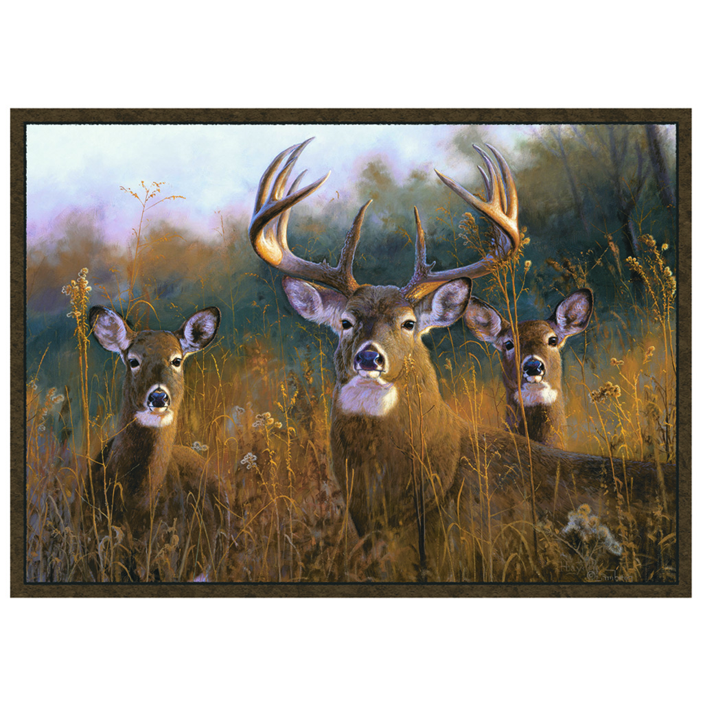 Buck Stops Here Rug 762990003941, 100% Nylon, Scotchguard, 37"x52"