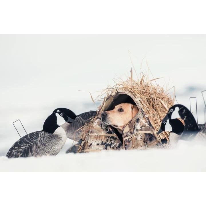 Rig 'Em Right 023-M Field Bully Dog Blind Optifade Marsh Camo