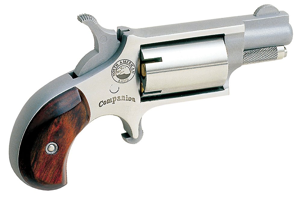 NAA 22LRCB Companion SAO .22 Cal 1.13 in 5 Shot Stainless