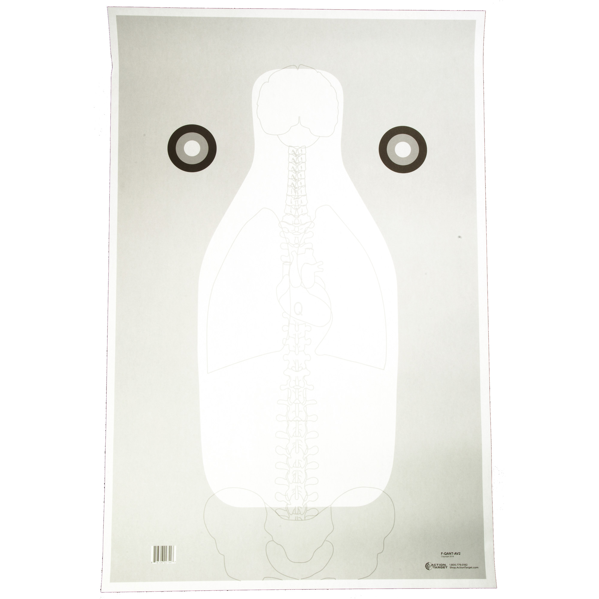 FBI Q Vital Anatomy V2 Training Target 23x35 Inch Black White Gray 100-Pack