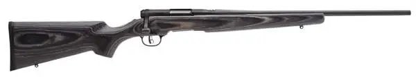 Buy Savage Arms 96971 B.MAG Sporter 17 WSM 22 in Barrel 8 Round Right Hand online