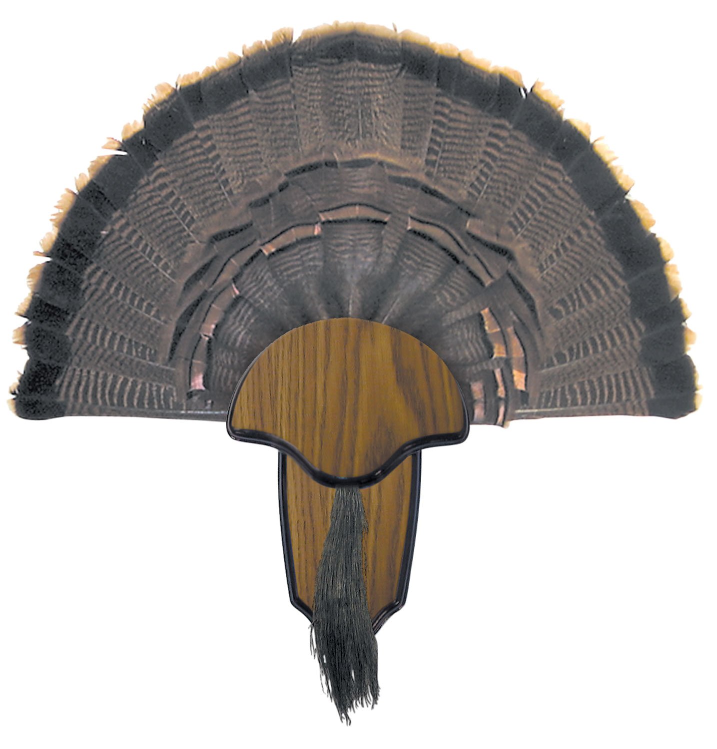 Hunter's Specialties Turkey Tail and Beard Mounting Kit Wood 00849