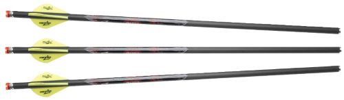 Buy Excalibur 22QV16IL-3 Quill Crossbow Bolts 16.5" Illuminated Nocks 3-Pack online