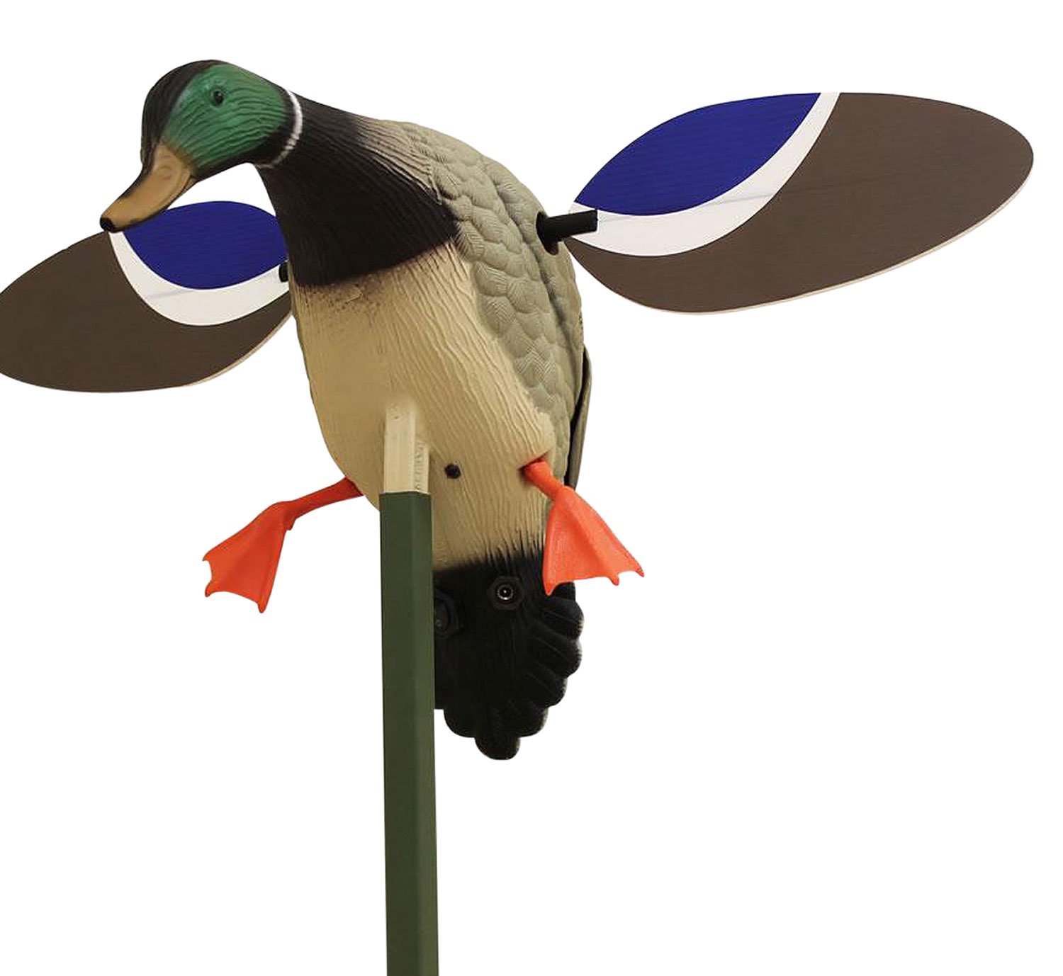 Buy Mojo Outdoors HW4401 Baby Mojo Drake Mallard Decoy, 6V Rechargeable Battery online