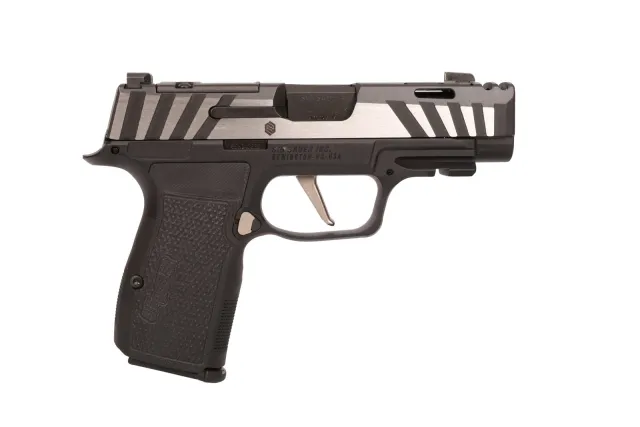 Buy SIG SAUER P365 AXG Equinox 9mm 365AXG-9-COMP-EQ online