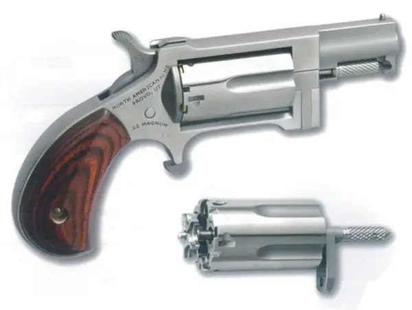 NAA Sidewinder 22LR/22MAG 1" Barrel, Rosewood Grips, Stainless Steel, 5-Round Capacity - NAA - .22 LR