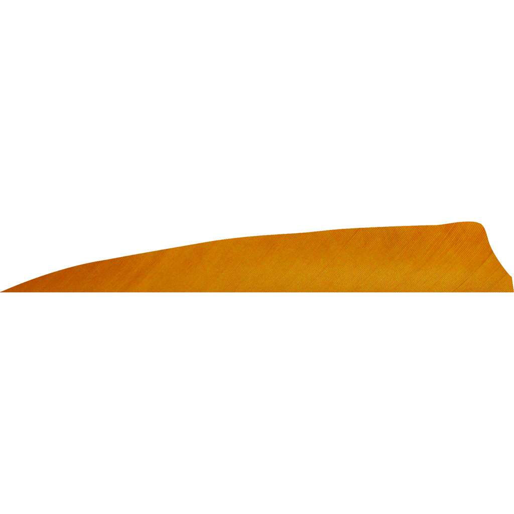 Gateway 400RSSDB-50 Shield Cut Feathers Desert Brown 4" RW 50 Pack