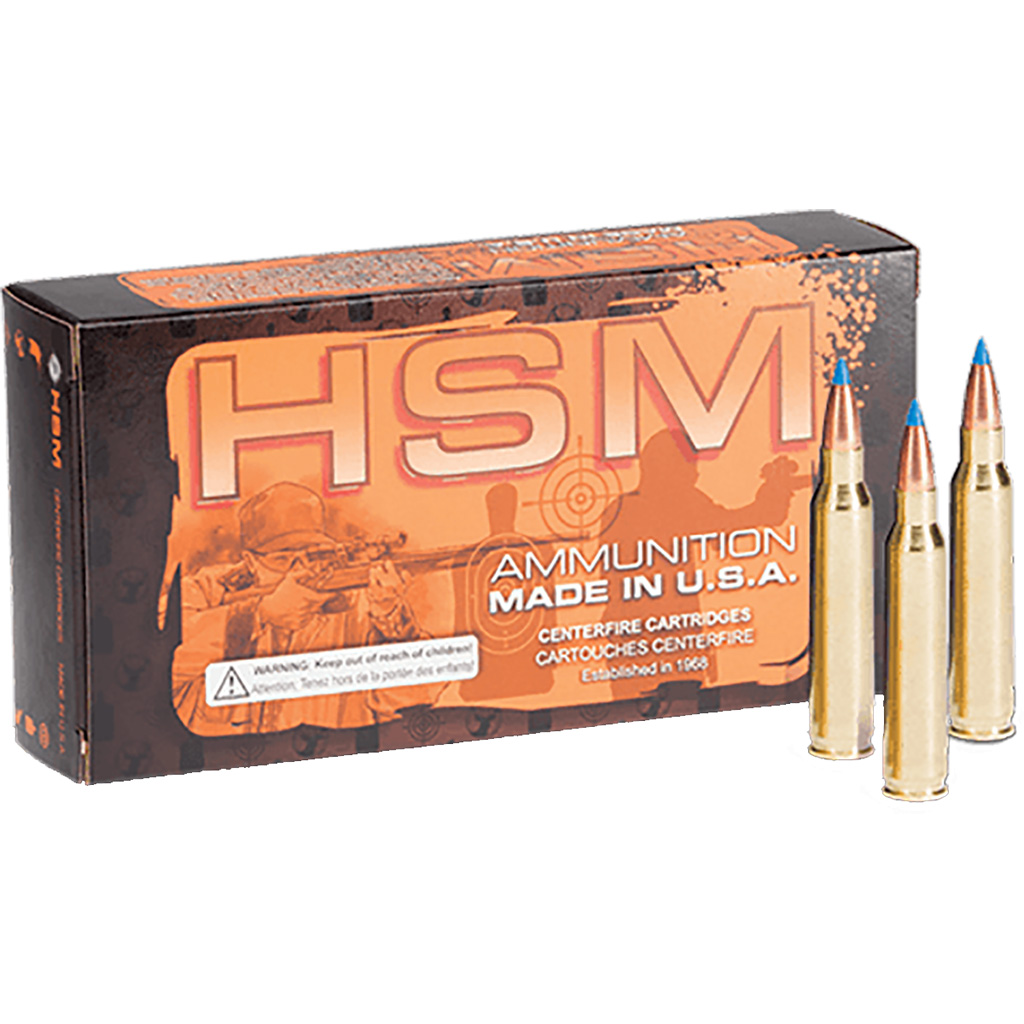 HSM Ammunition 17 Fireball V-Max Varmint 20gr 50rd 4000fps - HSM Ammunition