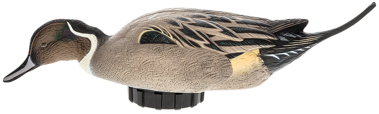 Buy Avian X AVXPSHPNSF Power Shaker Pintail Duck Decoy Multi-Color online