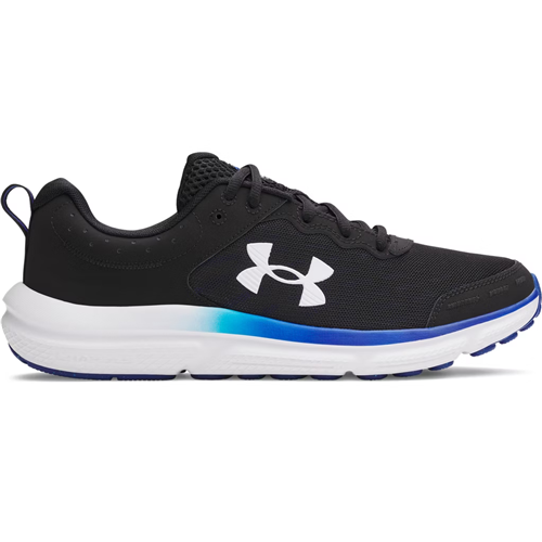 UA Charged Assert 10