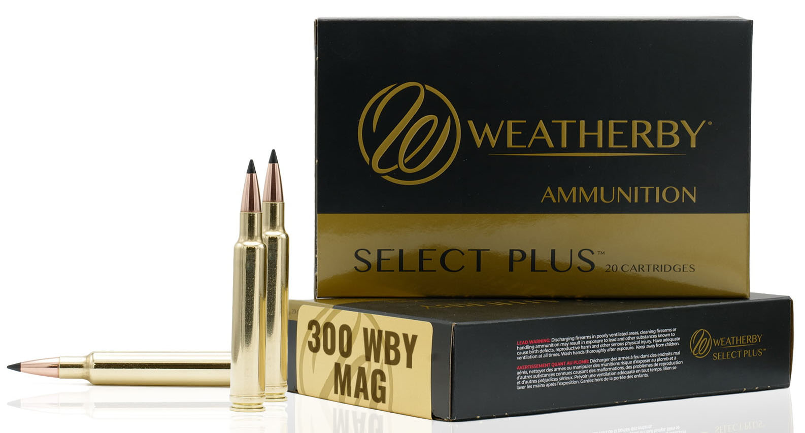 Weatherby Sierra Tipped GameKing 300 WBY 180GR S300180TGK