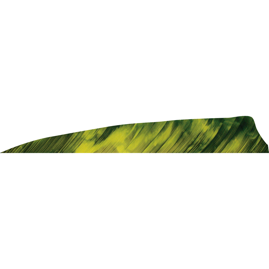 Gateway 400LSTYL-50 Shield Cut Feathers, Tre Yellow, 4in, 50 Pack