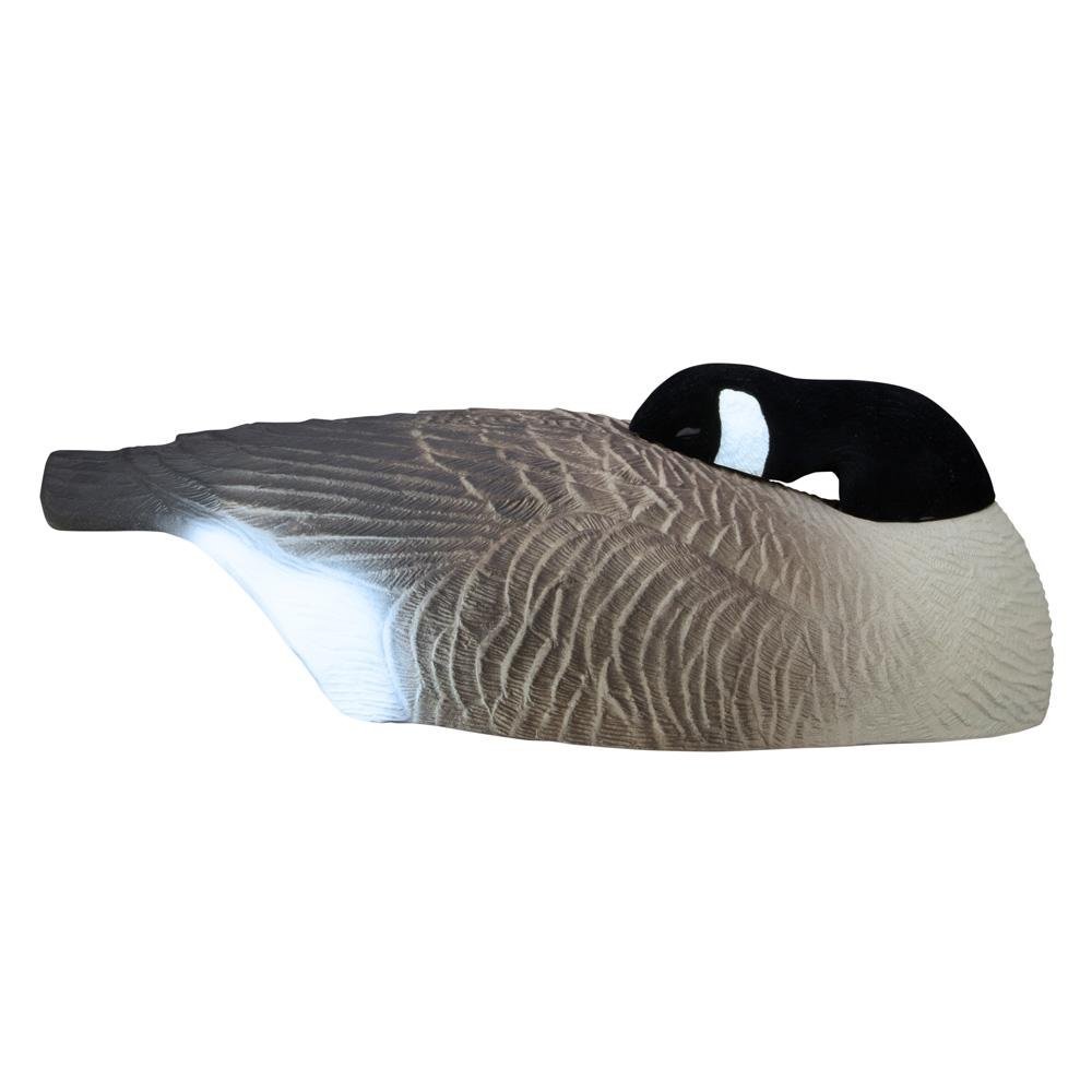 Buy Higdon Outdoors 77965 21.5 In OAL 8.74 lb 6pk Half Shell Sleeper online