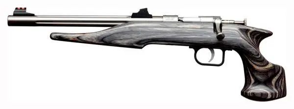 Chipmunk 40103 Hunter Youth Frame 22 LR Single Shot 9" Threaded... - CHIPMUNK - .22 LONG RIFLE