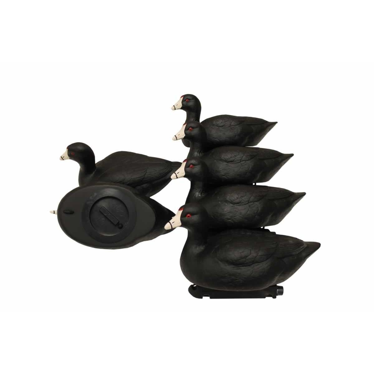 MOJO HW2514 Coot Confidence Decoys 6 Pack