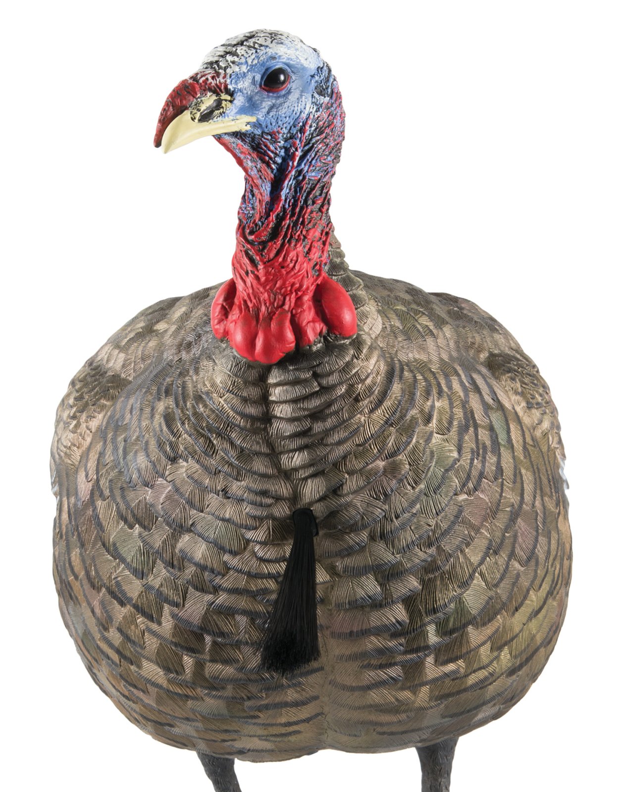 Avian X LCD Quarter Strut Jake Decoy - Lifelike Turkey Hunting Decoy