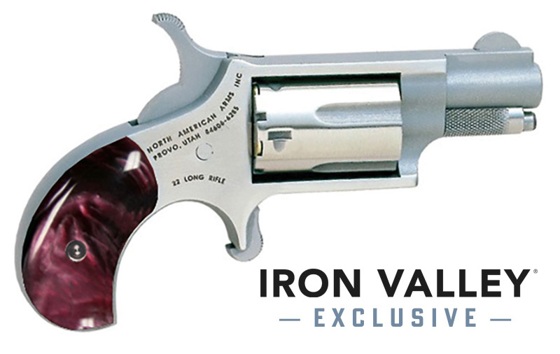 NAA Mini-Rev 22Lr 1 1/8"S FS Prpl Pearl GRP NA22LRGPPR