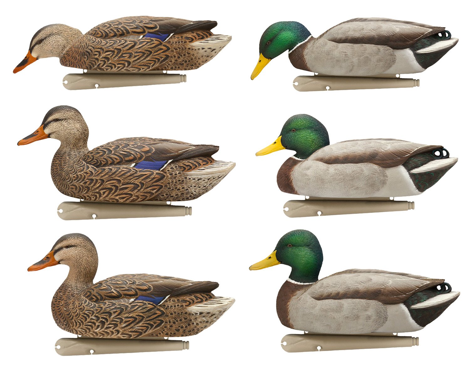 Avian X AVXAVX8076 Topflight Fusion Mallards Multi-Color 6-Pack Decoys - Avian-X - MALLARDS