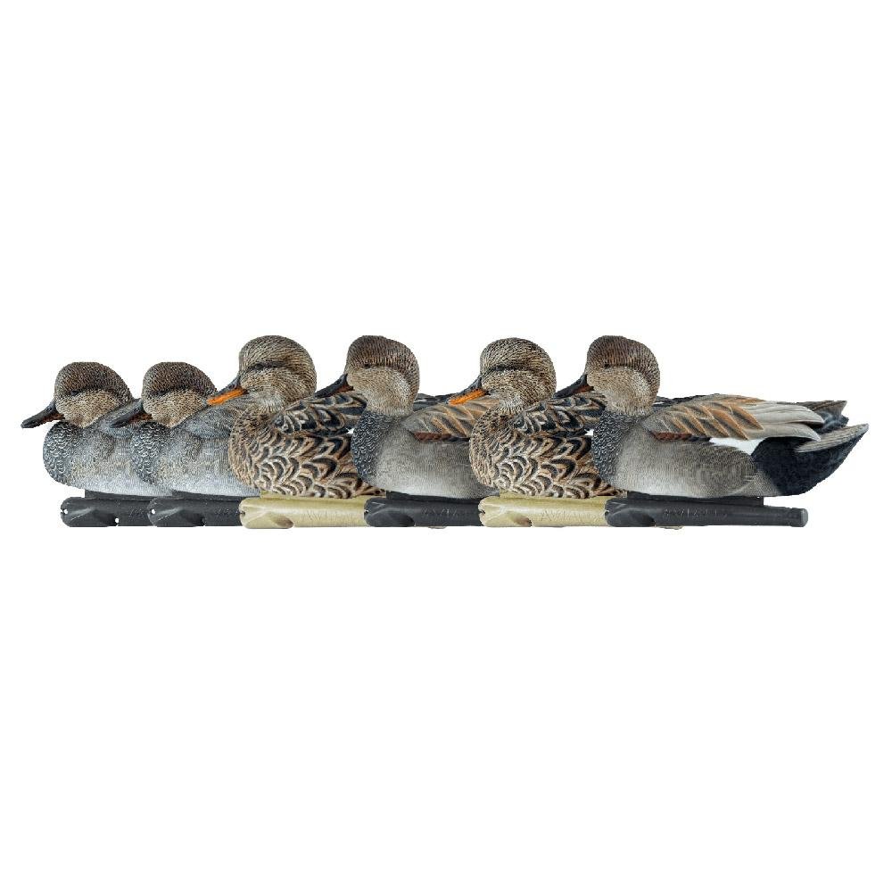 AvianX AVX8085 Top Flight Duck Decoys Gadwall 6-Pack, Realistic Design - Avian-X