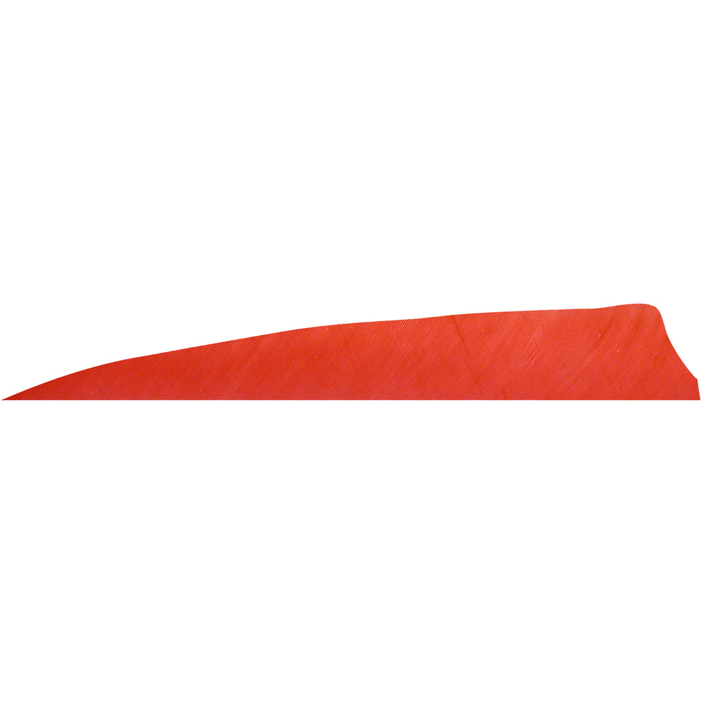 Gateway 400RSSRR-100 Shield Cut Feathers Red 4" RW 100 Pack