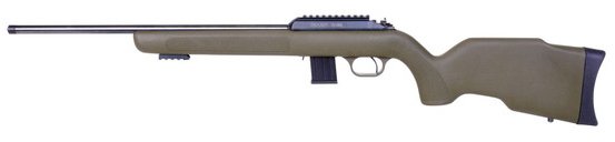 DIANA R-22 Classic .22LR Bolt Action 19.1 in Barrel 10 Round Capacity