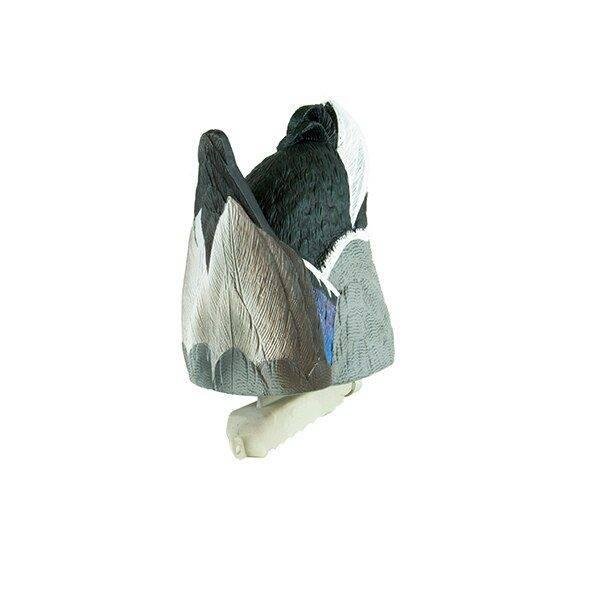 Cupped Waterfowl Drake Decoy - Weighted Keel, Lifelike Colors, Premium Quality - Rock Ridge Outdoors