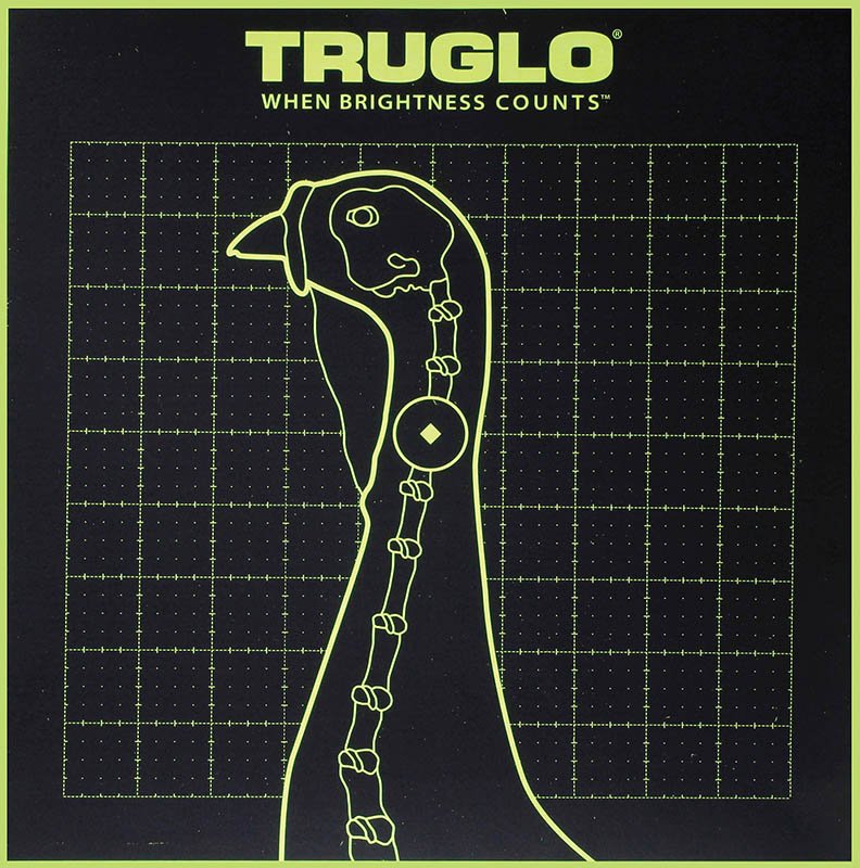 TruGlo TG12A6 Turkey Target 12x12 6 Pack