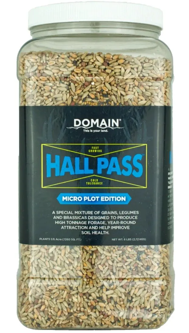 Buy DOMAIN HPFP6-MICRO HALL PASS - MICRO online