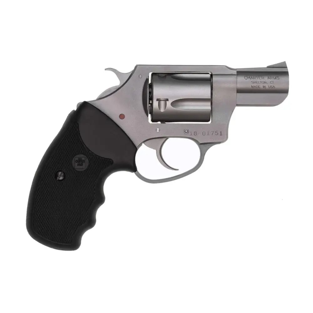 Charter Arms Undercover .38 Spl Revolver: Compact, Lightweight, Stainless Steel, 2" Barrel, 5-Round Capacity, Ideal Concealed Carry - CHARTER ARMS - 38 Special