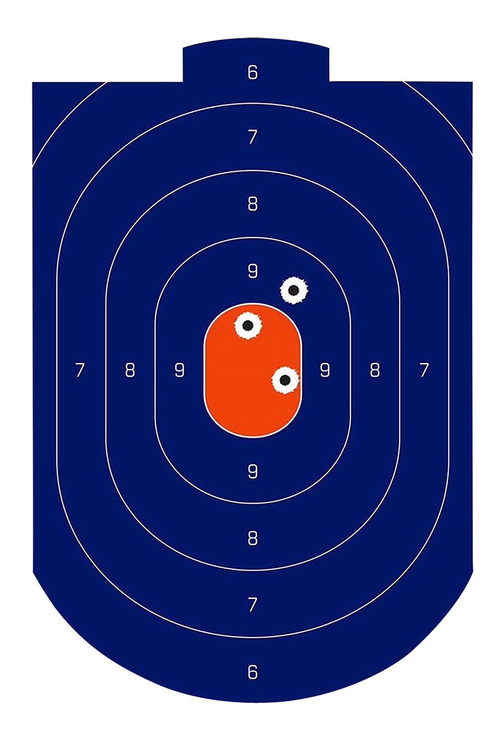 Birchwood Casey 35714 Dirty Bird Silhouette Target Tagboard 12" x... - Birchwood Casey