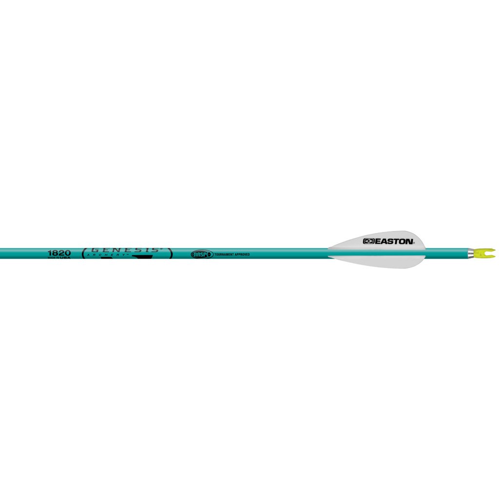 Buy Easton 129159 Genesis Arrows Teal 1820 6pk 7075 Alloy NASP Approved online