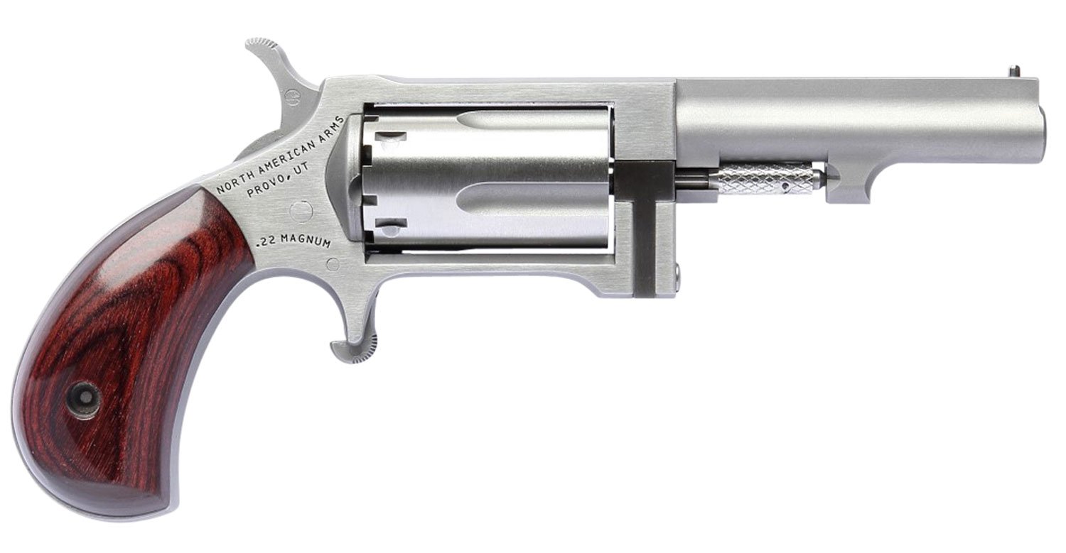 NAA SW250 Sidewinder 22 WMR 2.5 in Stainless 5 Shot - NAA - 22 Magnum