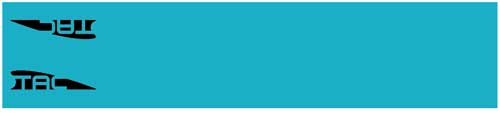TAC Vanes Arrow Wraps Turquoise 4.675 x 1.0 in. 13 pk. - TAC Vanes