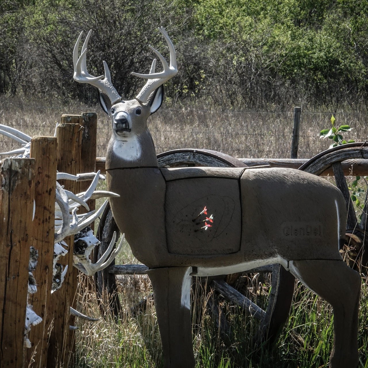 Buy GlenDel G73000 Pre-Rut Buck Target, Polyfusion Tech, 36" Shoulder Height online