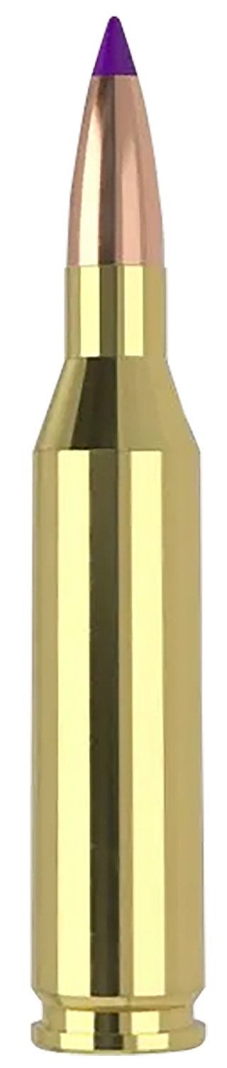 Nosler 40041 .243 Win 70gr Ballistic Tip Varmint Ammo 20 Rounds - Nosler - BALLISTIC TIP VARMINT