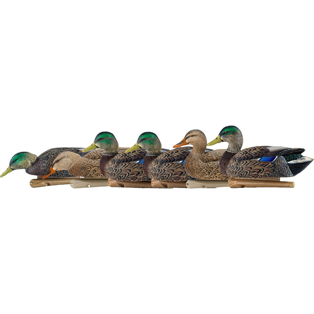 AvianX AVX8062 Top Flight Duck Decoys Early Season Mallards 6-Pack - Avian-X