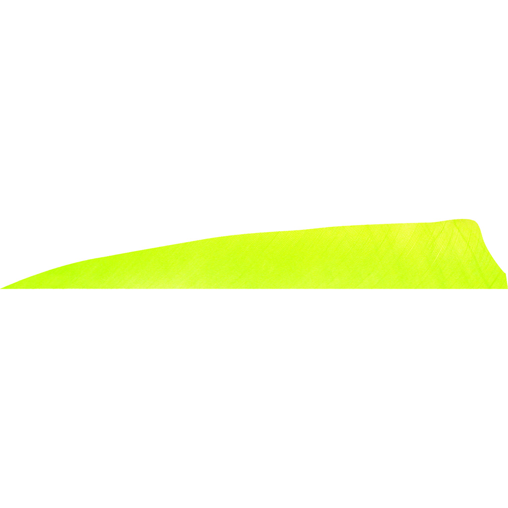 Gateway 400LSSLL-50 Shield Cut Feathers Lemon Lime 4 In LW 50 Pack