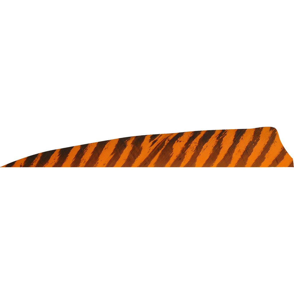Gateway 400LSBOR-50 Shield Cut Feathers Barred Orange 4in LW 50pk