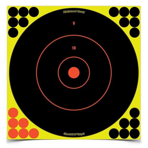 Birchwood Casey Shoot-N-C Targets: Bulls-Eye Per 500 34080