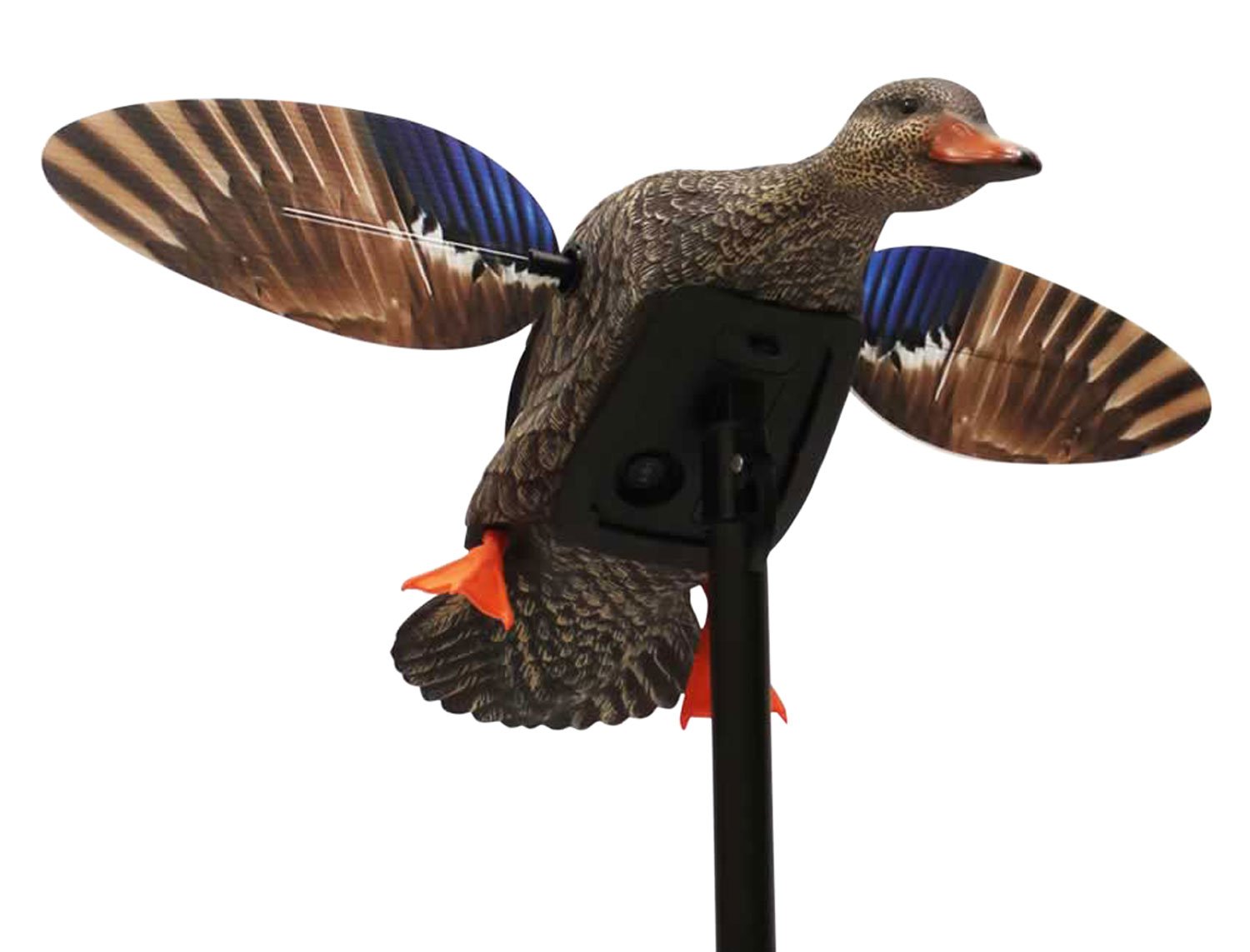 Buy Mojo Outdoors HW24713P Elite Series Mini Hen Mallard Decoy, Remote Control online