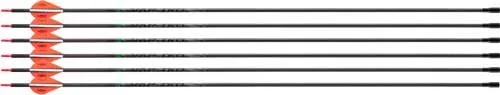 Victory Archery VAP TKO Gamer 400 Arrow Fletched 6pk VAPTKAG-400FB-6 - Victory Archery