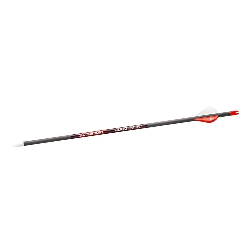 BloodSport Judgement Arrows 300 6 pk.