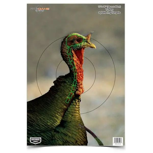 Birchwood Casey Pregame Turkey Paper Hanging Universal 12" x 18" Multi-Color 8 Per Pkg - Birchwood Casey - 12" X 18"