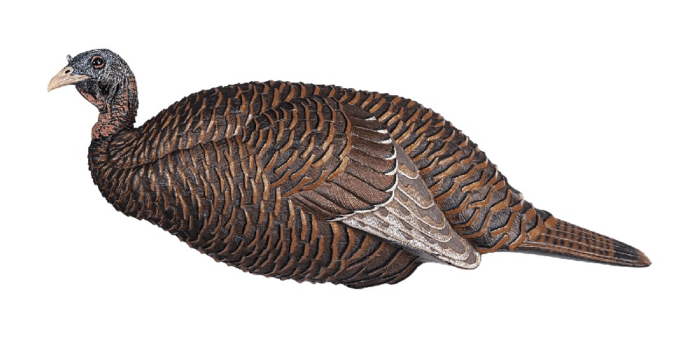 Flextone FLXDY331 Thunder Chick Breeder Decoy, Lifelike Hen Design