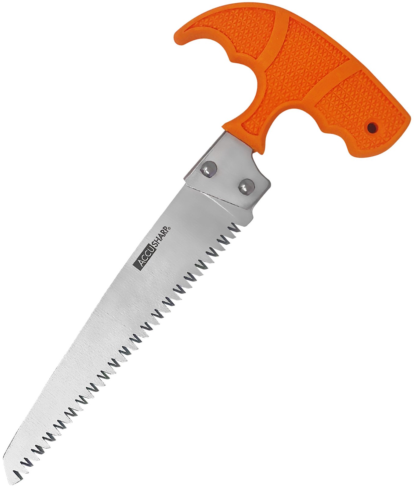 AccuSharp 730C Bone Saw Fixed 6" Stainless Steel Blade/ Blaze Orange... - FPI - SAW