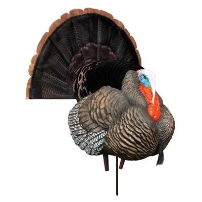 Buy Higdon Outdoors 63148 Hard Body Apex Strutter Turkey Decoy, XHD Feathering online
