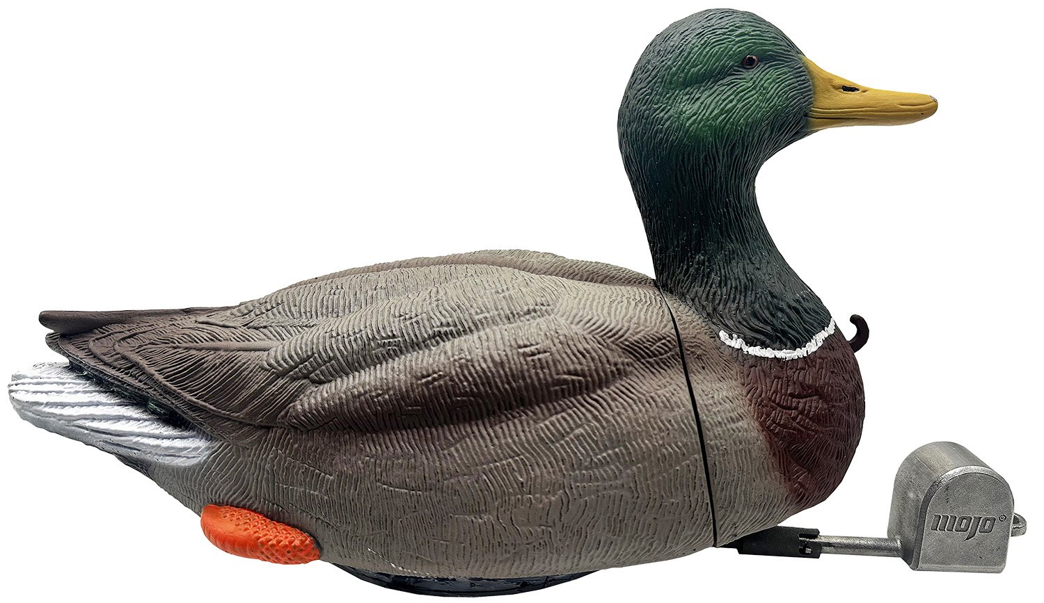 Mojo Outdoors Dabbler Duck Mallard Drake Species HW2554 - Mojo Outdoors