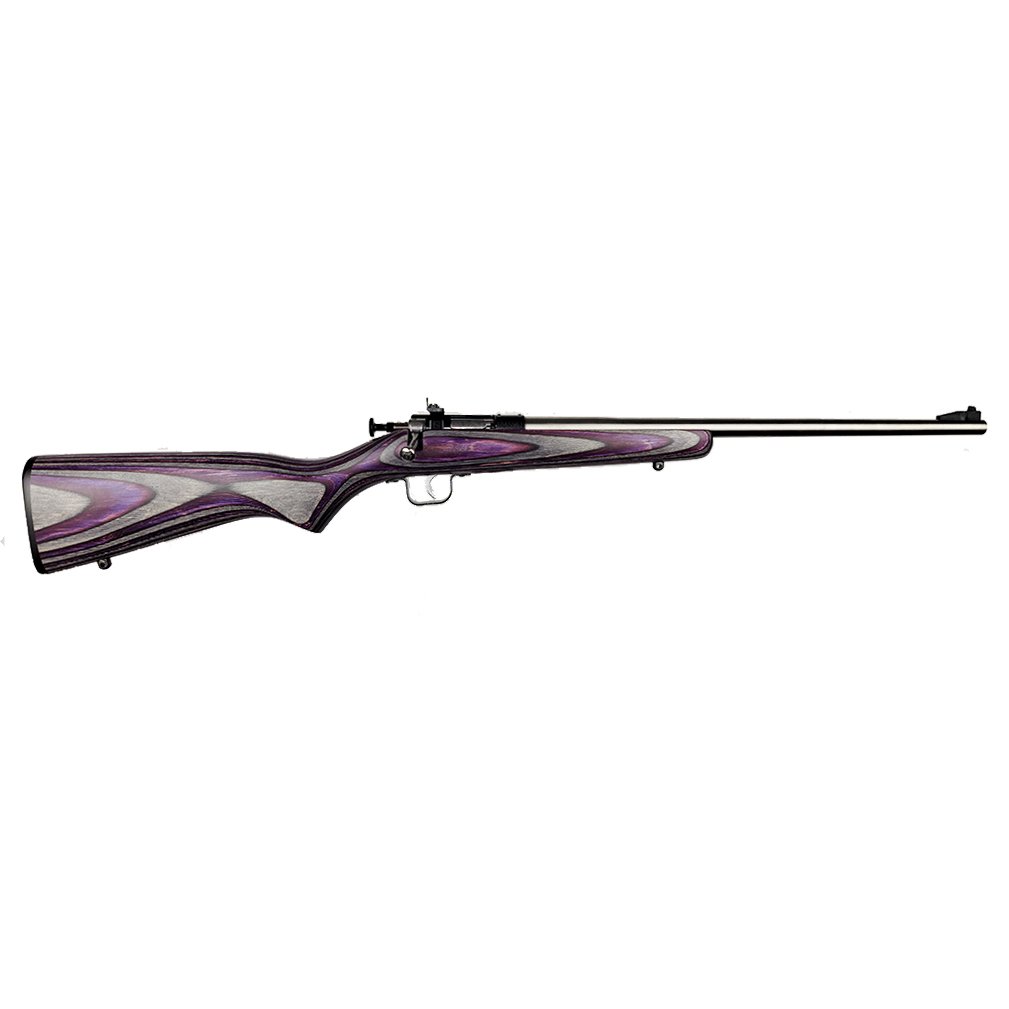 Crickett KSA2228 Youth 22 LR Rifle 16.12" Stainless Purple Stock - Keystone Sporting Arms - 22 LR