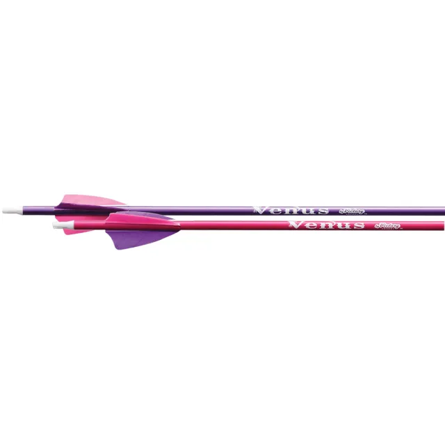 Buy Victory YG01-600FF2G-72 Venus Youth Arrows Pink/Purple 72 Pack online